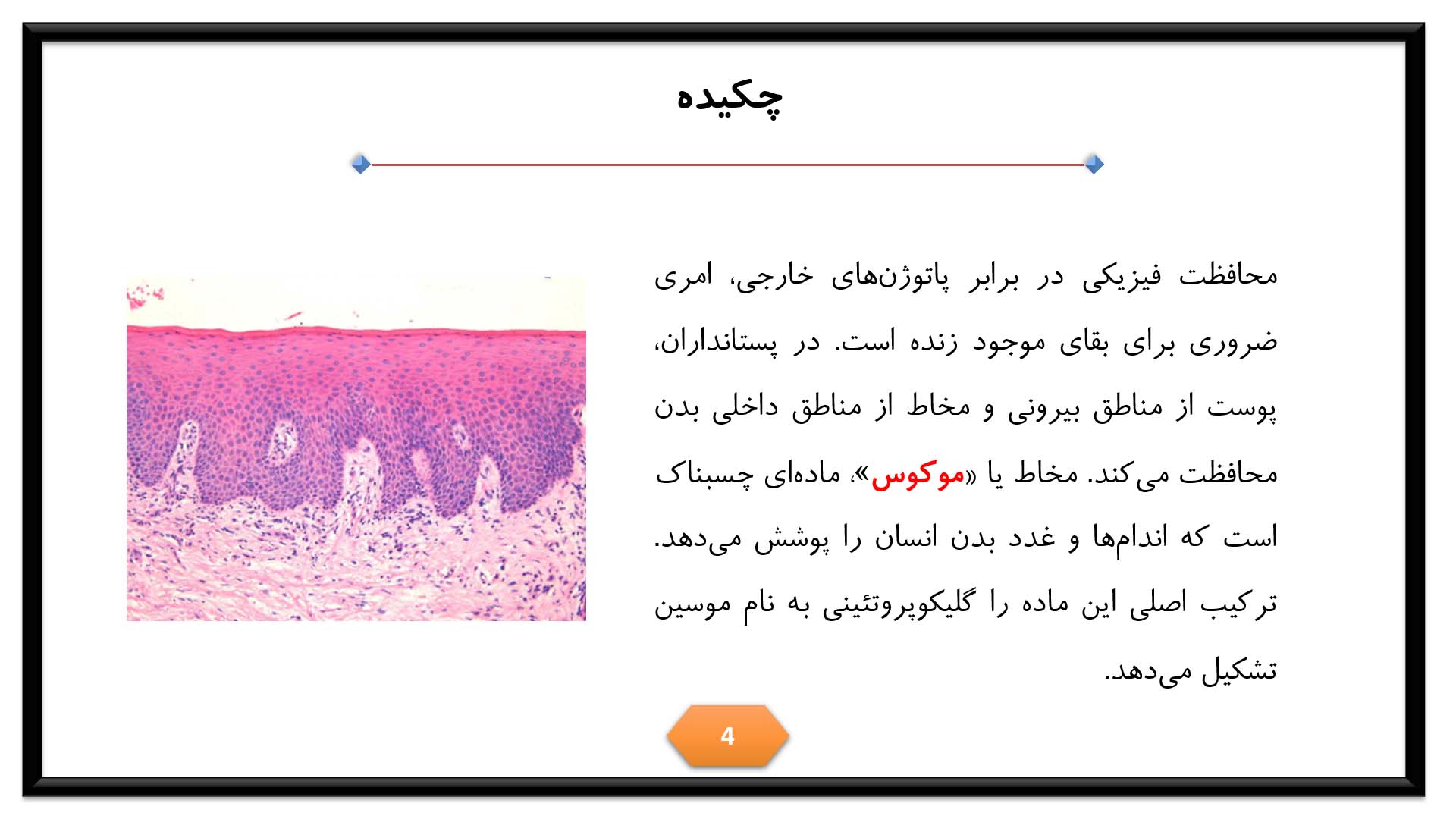 پاورپوینت در مورد مخاط 